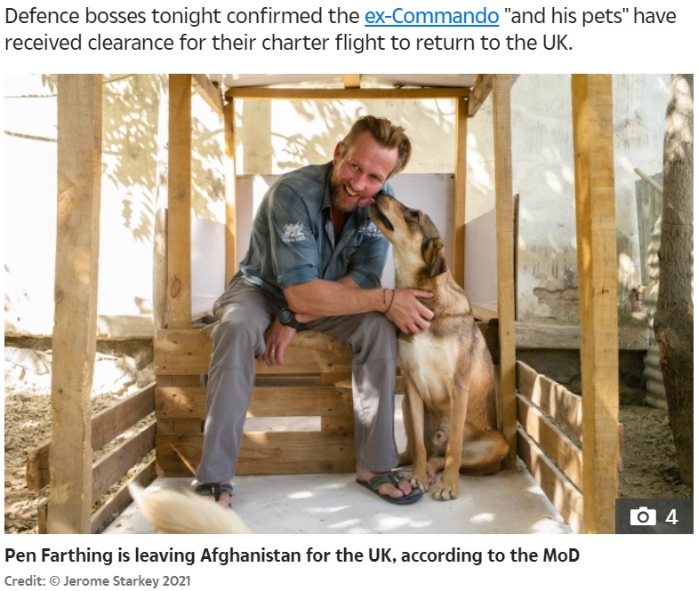 命懸けで犬猫を連れ出した動物保護活動家の男性（画像は『The Sun　2021年8月27日付「SAFE AT LAST Pen Farthing and his rescue dogs WILL board evacuation jet after being plucked to safety by Brit army at Kabul airport」（Credit: （C）Jerome Starkey 2021）』のスクリーンショット）