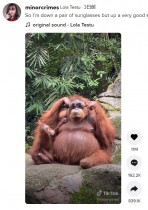 【海外発！Breaking News】檻の中に落ちたサングラスで遊ぶオランウータン　「動物園にいるには賢すぎる」（インドネシア）＜動画あり＞