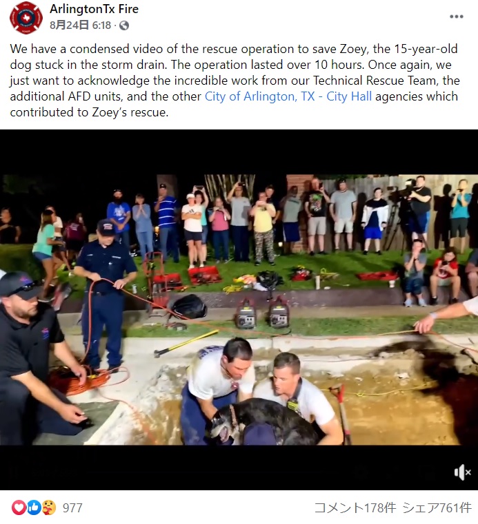 10時間以上が経ちようやく救出された犬（画像は『ArlingtonTx Fire　2021年8月24日付Facebook「We have a condensed video of the rescue operation to save Zoey, the 15-year-old dog stuck in the storm drain.」』のスクリーンショット）