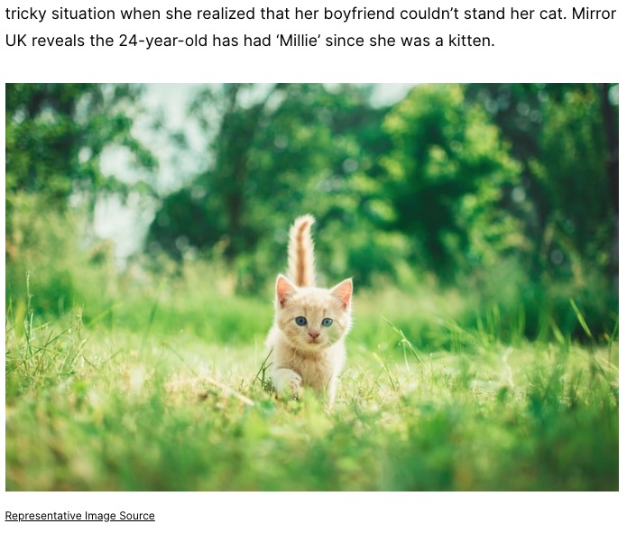 女性は恋人よりも飼い猫が大事だった（画像は『Storypick　2021年8月24日付「Woman Reveals She Kicked Her BF Out Of Their Home For Verbally Abusing Her Cat, People React」（Representative Image Source）』のスクリーンショット）