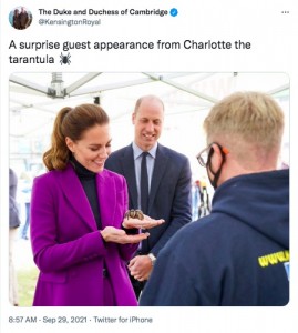タランチュラを手にのせるキャサリン妃（画像は『The Duke and Duchess of Cambridge　2021年9月29日付Twitter「A surprise guest appearance from Charlotte the tarantula」』のスクリーンショット）
