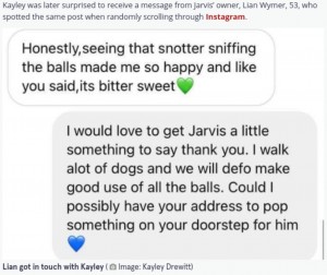 リアンさんとケイリーさんのやりとり（画像は『The Mirror　2021年9月15日付「Dog walker stumbles across heart-warming cardboard box message that ‘brought tears’」（Image: Kayley Drewitt）』のスクリーンショット）