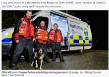 【海外発！Breaking News】捜索救助犬の資格を得て7時間半後、行方不明者を見事発見したボーダーコリー（英）