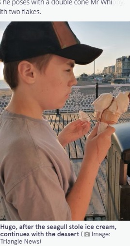アクシデントの後もソフトクリームを食べ続けたヒューゴ君（画像は『The　Mirror　2021年9月24日付「Incredible photo by mum catches moment seagull divebombs son, 11, as he enjoys ice cream」（Image: Triangle News）』のスクリーンショット）