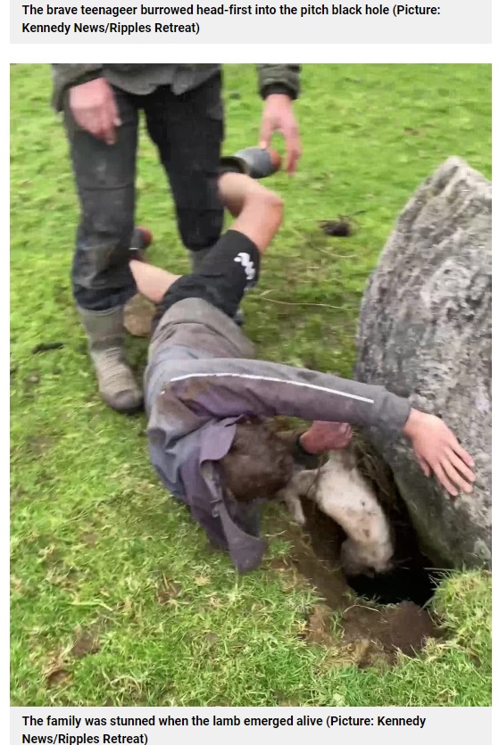 岩の奥にいる子羊を救出した瞬間（画像は『Metro　2021年9月7日付「‘Hero’ teen burrows head-first into 7ft hole to rescue trapped lamb」（Picture: Kennedy News/Ripples Retreat）』のスクリーンショット）
