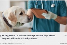 【海外発！Breaking News】安楽死直前の犬に“最後のご褒美”　動物病院の計らいが感動呼ぶ（米）