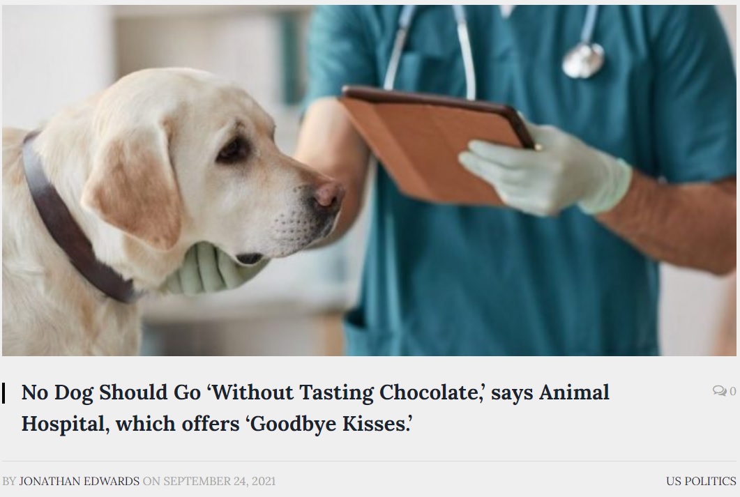 安楽死が決まった犬たちへの贈り物に反響大きく（画像は『The Washington Newsday　2021年9月24日付「No Dog Should Go ‘Without Tasting Chocolate,’ says Animal Hospital, which offers ‘Goodbye Kisses.’」』のスクリーンショット）