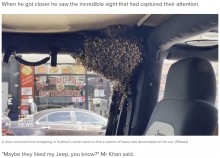 【海外発！Breaking News】わずか10分で車内にミツバチの大群　困った運転手に養蜂家が「もらってもいい？」と素手で捕まえる（豪）＜動画あり＞