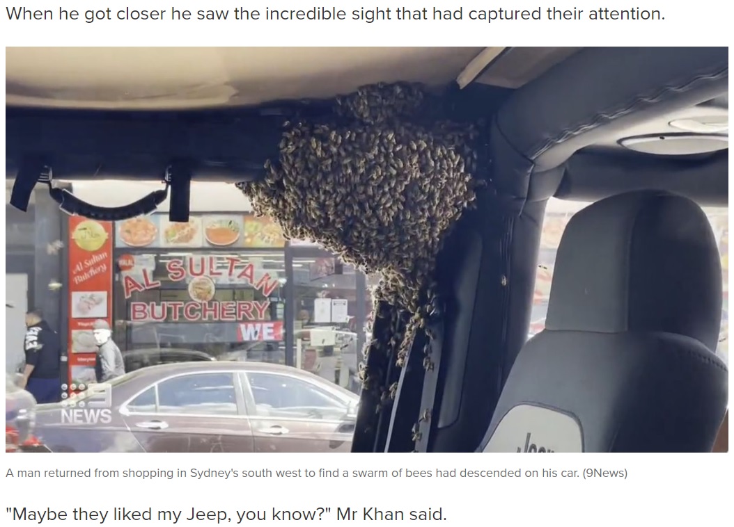 買い物中の10分間で車内にミツバチの大群が（画像は『9News　2021年9月24日付「Sydney man returns from shop to find swarm of bees have taken over his car」（9News）』のスクリーンショット）