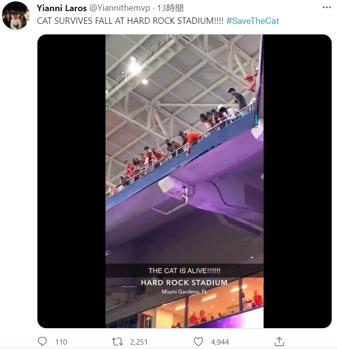 観客が救出しようとするも手が届かず（画像は『Yianni Laros　2021年9月12日付Twitter「CAT SURVIVES FALL AT HARD ROCK STADIUM!!!!」』のスクリーンショット）