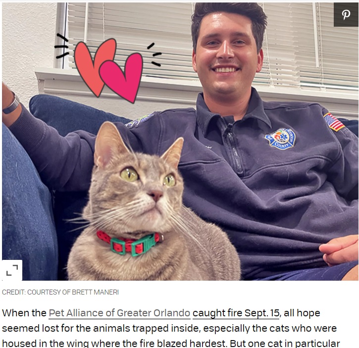 救出した猫をペットとして迎え入れた消防士（画像は『Daily Paws　2021年9月23日付「Hero Firefighter Adopts ‘Miracle’ Tabby Cat After Rescuing Her From Tragic Shelter Fire」（CREDIT: COURTESY OF BRETT MANERI）』のスクリーンショット）