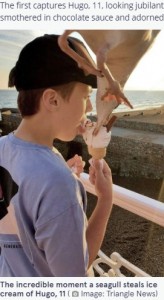 急降下してソフトクリームにくちばしを刺すカモメ（画像は『The　Mirror　2021年9月24日付「Incredible photo by mum catches moment seagull divebombs son, 11, as he enjoys ice cream」（Image: Triangle News）』のスクリーンショット）