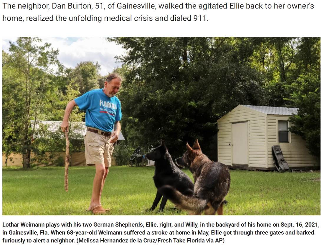 愛犬のおかげで命を救われた男性（画像は『Fox News　2021年9月25日付「Man’s best friend: Dog alerts neighbor when owner has stroke」（Melissa Hernandez de la Cruz/Fresh Take Florida via AP）』のスクリーンショット）