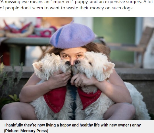 安楽死寸前だった2匹の犬と飼い主の女性（画像は『Metro　2021年9月25日付「Rescued Westie twins live best life despite having just two eyes between them」（Picture: Mercury Press）』のスクリーンショット）