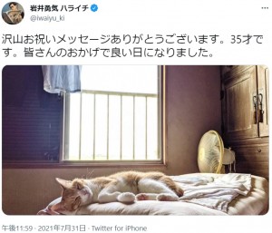 岩井の実家で飼っている保護猫・モネちゃん（画像は『岩井勇気 ハライチ　2021年7月31日付Twitter「沢山お祝いメッセージありがとうございます。」』のスクリーンショット）