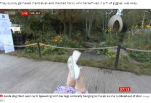 カメラに映し出されたのはキャロルさんの脚（画像は『MyLondon　2021年9月20日付「BBC Breakfast’s Carol Kirkwood dragged to floor by excited dog live on air」（Image: BBC）』のスクリーンショット）