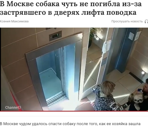 慌ててエレベーターから降りてきた飼い主と犬を救助した男性（画像は『Газета.Ru　2021年9月4日付「В Москве собака чуть не погибла из-за застрявшего в дверях лифта поводка」』のスクリーンショット）