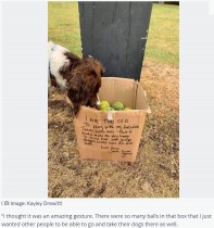 【海外発！Breaking News】散歩中に見つけた老犬からのプレゼント　温かいメッセージが飼い主同士の交流へ（英）
