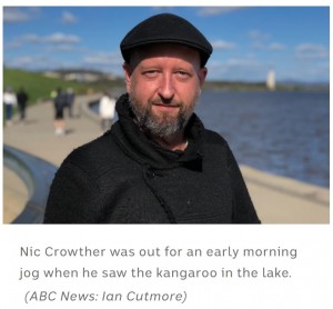 寒さで動けない様子のカンガルーを救助したニックさん（画像は『ABC News　2021年9月21日付「Canberra men take early morning dip to pull ‘shivering’ kangaroo from Lake Burley Griffin」（ABC News: Ian Cutmore）』のスクリーンショット）