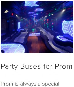 一般的なパーティー用バスの内部（画像は『Bookbuses　「Party Bus Rental - Luxury yet Affordable | 10-50 Passenger」』のスクリーンショット）