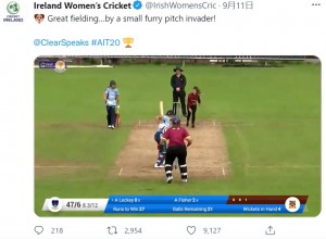 当時はクリケットの試合中だった（画像は『Ireland Women’s Cricket　2021年9月11日付Twitter「Great fielding…by a small furry pitch invader!」』のスクリーンショット）