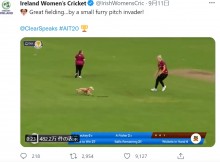 【海外発！Breaking News】クリケットの試合に大興奮の犬が乱入　見事ボールをキャッチして実況者も笑い止まらず（北アイルランド）＜動画あり＞