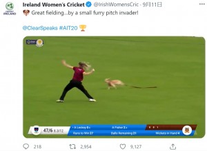 ボールを返球する動作に合わせて猛ダッシュした犬（画像は『Ireland Women’s Cricket　2021年9月11日付Twitter「Great fielding…by a small furry pitch invader!」』のスクリーンショット）