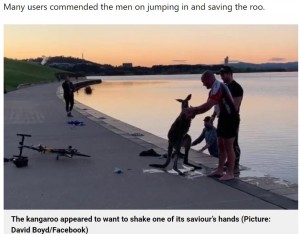 男性にお礼をしているようにも見えるカンガルー（画像は『Metro　2021年9月21日付「Kangaroo shakes rescuer’s hand after being rescued from freezing lake」（Picture: David Boyd/Facebook）』のスクリーンショット）