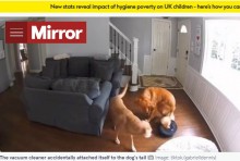 【海外発！Breaking News】犬を飼う家のルンバはなぜ壊れた？　監視カメラで一部始終が明らかに＜動画あり＞