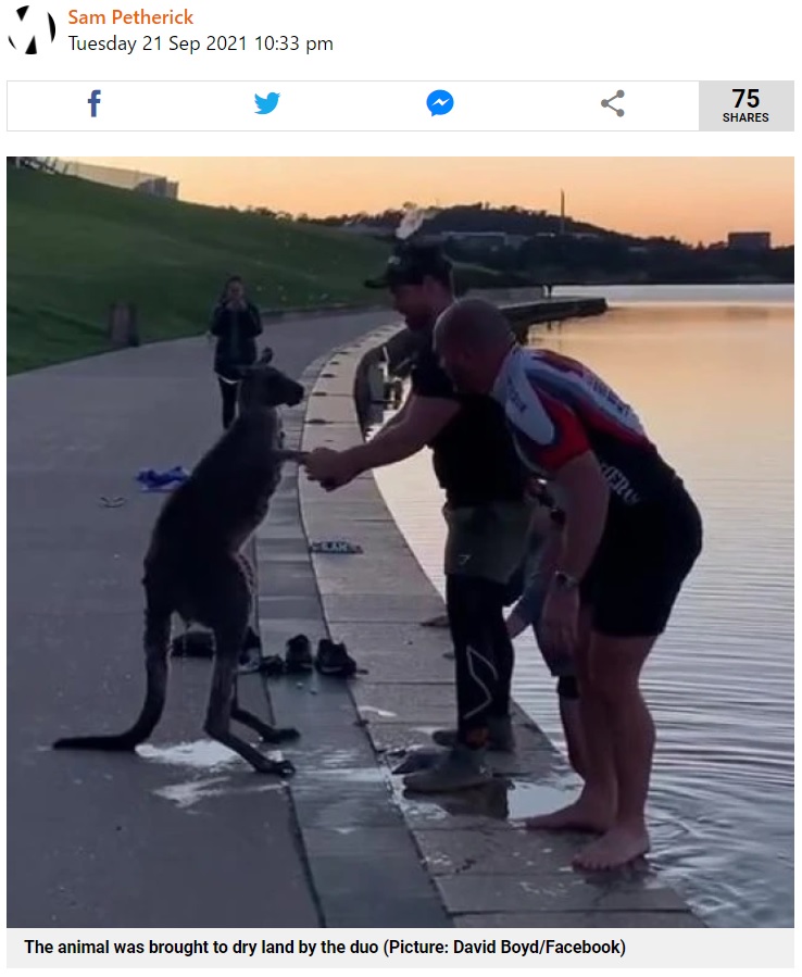 カンガルーと救助した男性たち（画像は『Metro　2021年9月21日付「Kangaroo shakes rescuer’s hand after being rescued from freezing lake」（Picture: David Boyd/Facebook）』のスクリーンショット）