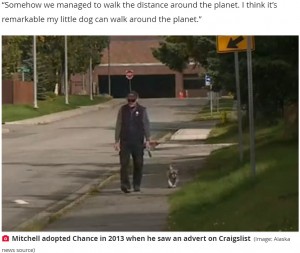 これからもチャンスと歩き続けるマイクさん（画像は『The Daily Star　2021年9月17日付「Bloke spends eight years walking the entire circumference of the Earth with his dog」（Image: Alaska news source）』のスクリーンショット）