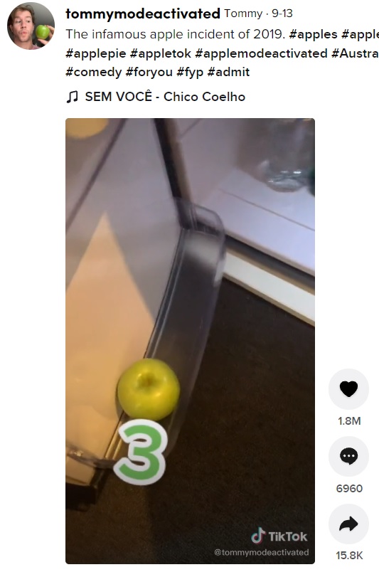 3個目のリンゴは冷蔵庫のドアポケットに（画像は『Tommy　2021年9月13日付TikTok「The infamous apple incident of 2019.」』のスクリーンショット）