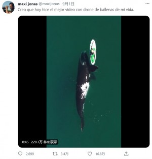 【海外発！Breaking News】巨大なクジラがパドルボードを優しくプッシュ　貴重な光景に「素晴らしい体験だ！」（アルゼンチン）＜動画あり＞