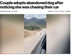 必死で見知らぬ人の車を追いかけるモクシー（画像は『New York Post　2021年10月11日付「Couple adopts abandoned dog after noticing she was chasing their car」（SWNS）』のスクリーンショット）