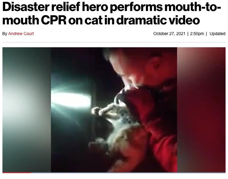 意識のない子猫を救おうと試みる救助隊員（画像は『New York Post　2021年10月27日付「Disaster relief hero performs mouth-to-mouth CPR on cat in dramatic video」（UME/Newsflash）』のスクリーンショット）