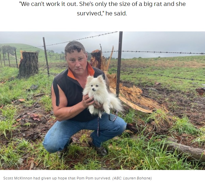奇跡的に生還したポメラニアンを抱く飼い主（画像は『ABC　2021年10月14日付「Dog that survived being sucked into tornado near Lithgow returns home from vet（ABC: Lauren Bohane）』のスクリーンショット）