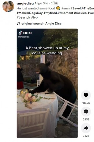【海外発！Breaking News】結婚披露宴にクマが乱入　気にも留めずに食べ続ける参列者たち（メキシコ）＜動画あり＞