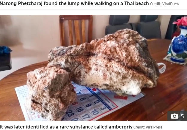 マッコウクジラの腸内だけで生成される希少な龍涎香（画像は『The Sun　2021年10月5日付「WHALE I’LL BE DAMNED Fisherman set to scoop £1millon after finding huge lump of rare ‘whale vomit’ washed up on Thai beach」（Credit: ViralPress）』のスクリーンショット）