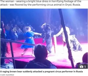 【海外発！Breaking News】サーカス公演中にクマが女性トレーナーを襲う　妊娠したことに嫉妬か（露）＜動画あり＞