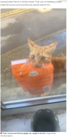 【海外発！Breaking News】自宅前に放置されたペットフードの袋は愛猫の仕業　地元でも有名な“泥棒猫”だった（英）＜動画あり＞