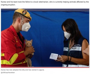 子猫はファンさんに飼われることに（画像は『New York Post　2021年10月27日付「Disaster relief hero performs mouth-to-mouth CPR on cat in dramatic video」（UME/Newsflash）』のスクリーンショット）