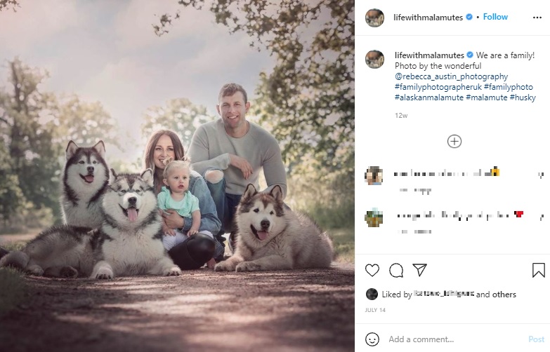ファミリーと犬たち（画像は『The Matthews Malamute Family　2021年7月14日付Instagram「We are a family!」』のスクリーンショット）