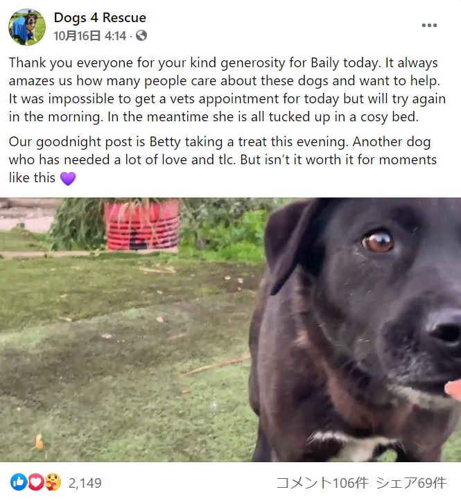 保護から601日目、初めてスタッフの手から直接おやつを食べたベティ（画像は『Dogs 4 Rescue　2021年10月16日付Facebook「Thank you everyone for your kind generosity for Baily today.」』のスクリーンショット）