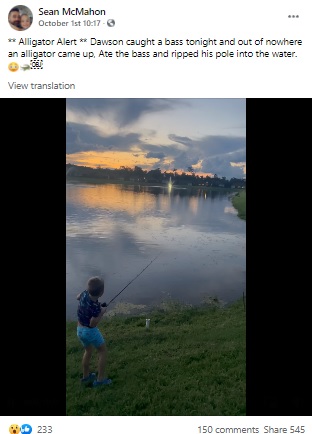 自宅裏で魚釣りをする7歳男児（画像は『Sean McMahon　2021年10月1日付Facebook「Alligator Alert」』のスクリーンショット）
