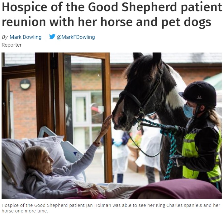 ホスピスの計らいで愛馬と感動の再会果たす（画像は『Chester Standard　2021年10月7日付「Hospice of the Good Shepherd patient’s emotional reunion with her horse and pet dogs」』のスクリーンショット）