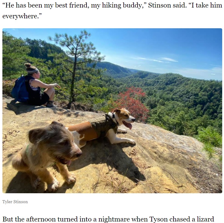 いつもと変わらずハイキングを楽しんでいた犬（画像は『LEX18　2021年10月26日付「‘My hiking buddy’: Dog’s rescue in the Red River Gorge considered a ‘miracle’」（Tyler Stinson）』のスクリーンショット）