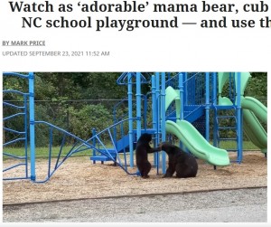 クマの親子の姿は「見てて胸がいっぱいになる」という声も（画像は『Charlotte Observer　2021年9月23日付「Watch as ‘adorable’ mama bear, cub take over NC school playground ― and use the slides」』のスクリーンショット）