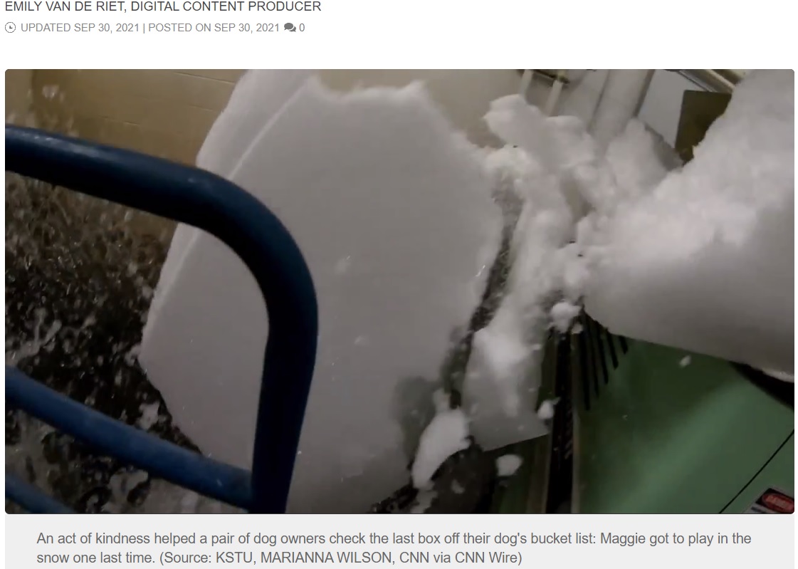 整氷車で削った氷片は通常、排水溝に捨てられる（画像は『FOX Carolina　2021年9月30日付「WATCH: Dog battling cancer gets her final wish - a snow pile - thanks to ice rink」（Source: KSTU, MARIANNA WILSON, CNN via CNN Wire）』のスクリーンショット）