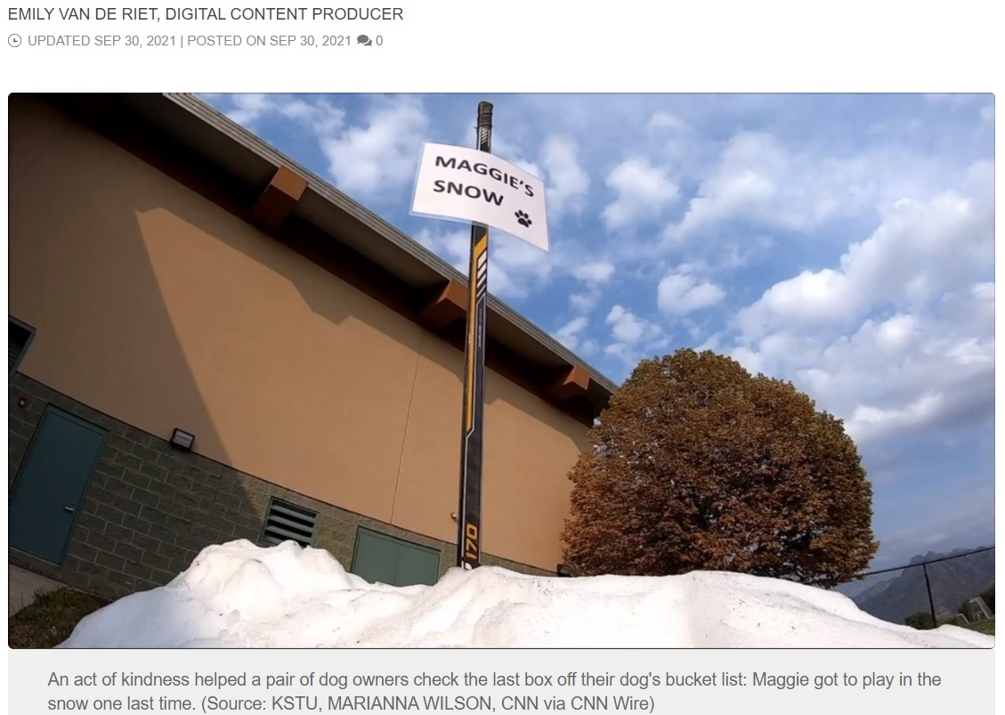 マギーのために大きな雪の山を用意（画像は『FOX Carolina　2021年9月30日付「WATCH: Dog battling cancer gets her final wish - a snow pile - thanks to ice rink」（Source: KSTU, MARIANNA WILSON, CNN via CNN Wire）』のスクリーンショット）