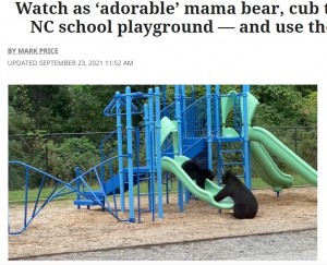 【海外発！Breaking News】滑り台で遊ぶ野生のクマの親子　子の安全を配慮する姿が人間そっくり（米）＜動画あり＞